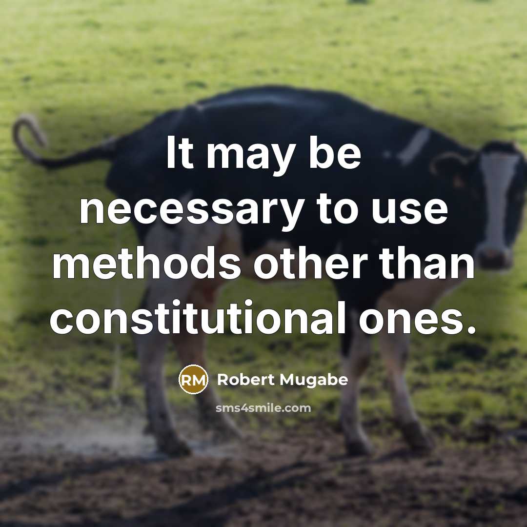 “It may be necessary to use methods other than constitutional ones.” quote by Robert Mugabe