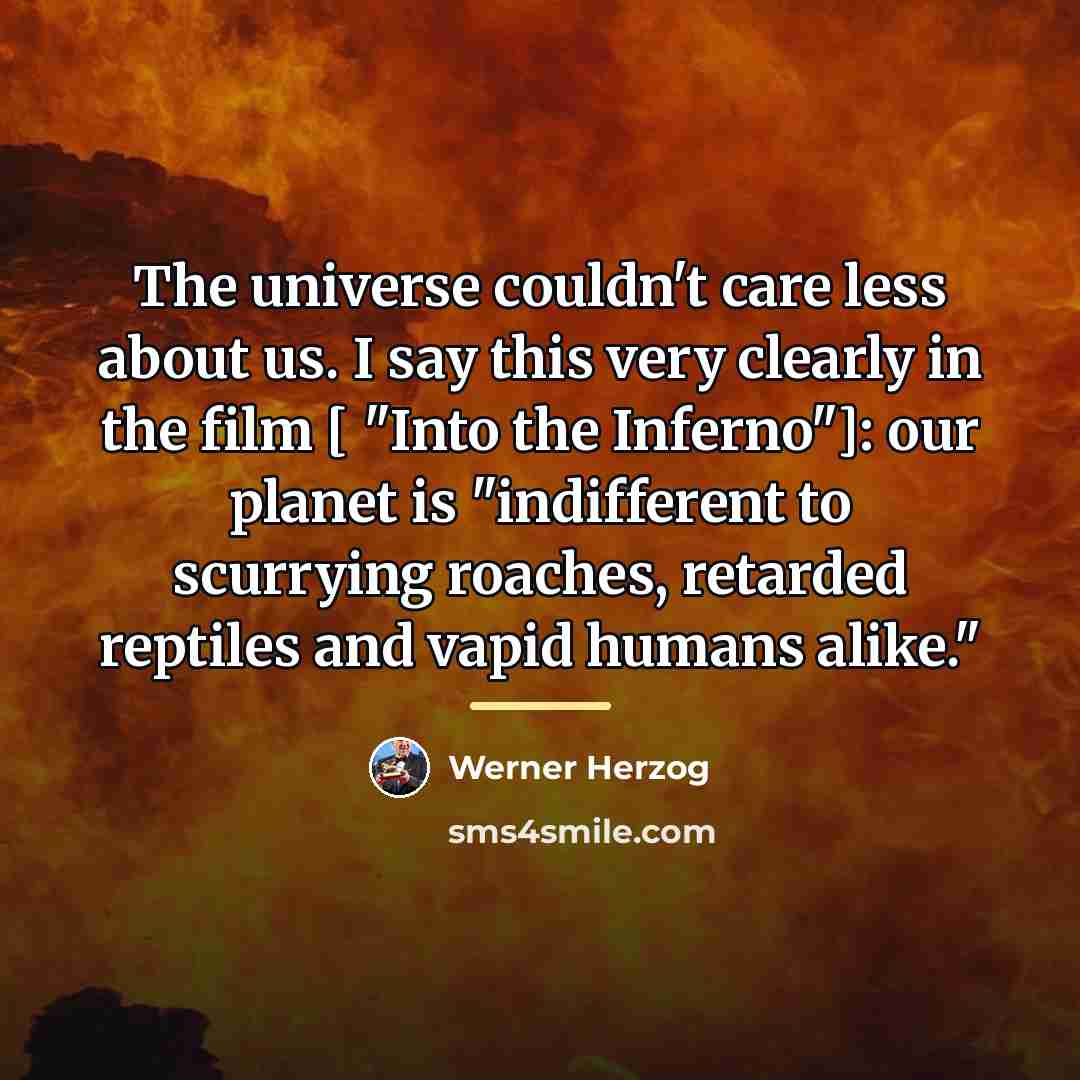 “The universe couldn't care less about us. I say this…” quote by Werner Herzog