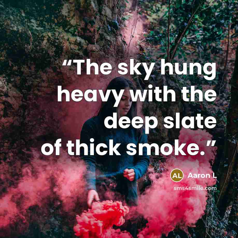 “The sky hung heavy with the deep slate of thick smoke.” quote by Aaron L