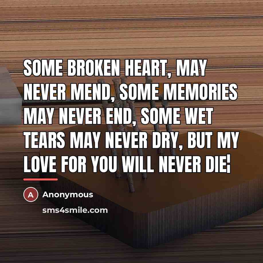 “Some broken heart, may never mend, Some memories may never…” quote by Anonymous