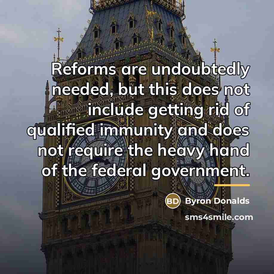 “Reforms are undoubtedly needed, but this does not include getting…” quote by Byron Donalds