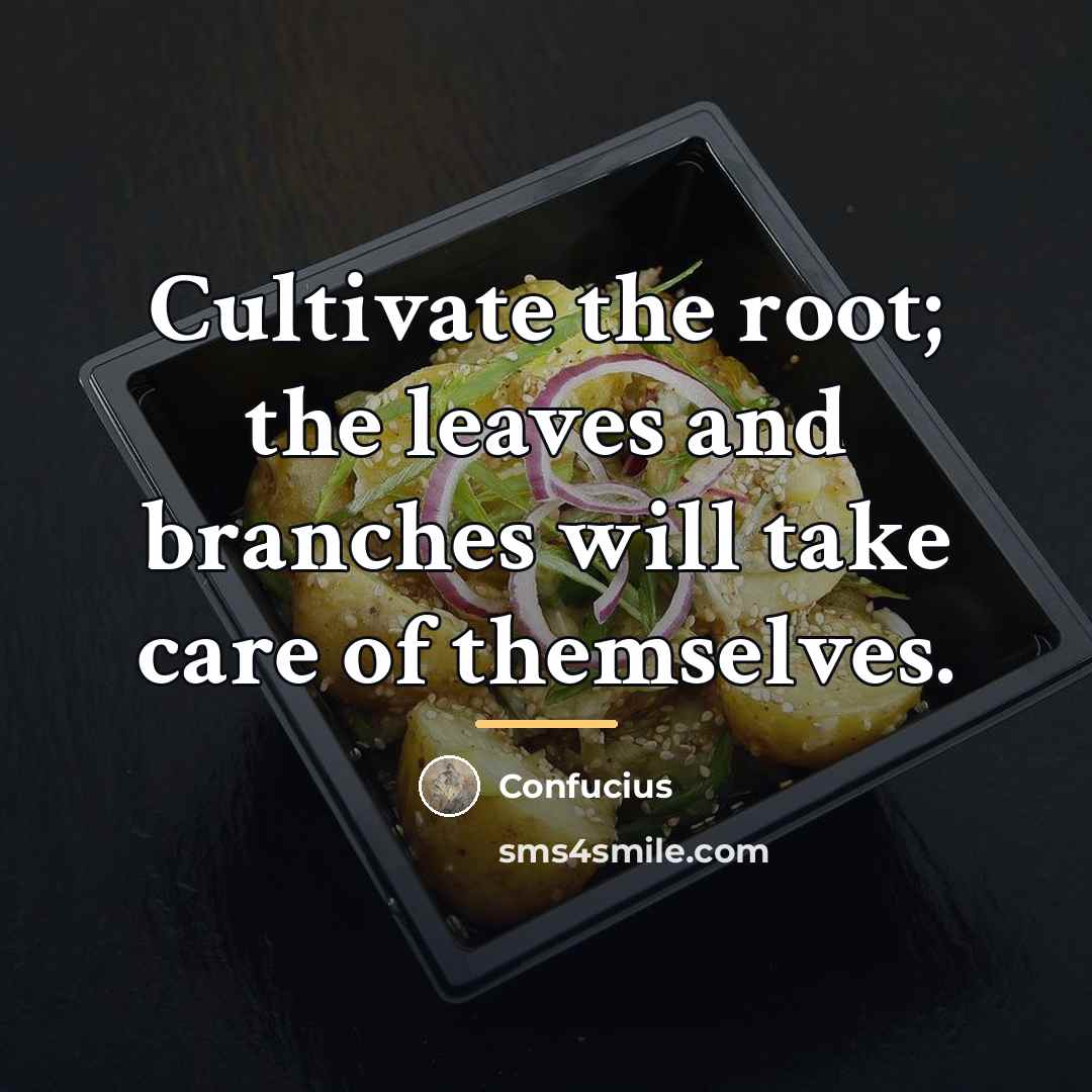 “Cultivate the root; the leaves and branches will take care…” quote by Confucius