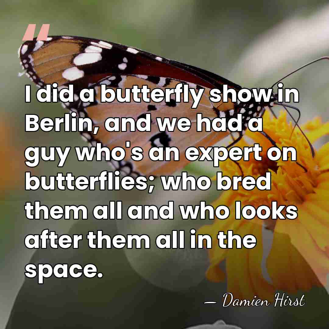 I did a butterfly show in Berlin, and we had a guy&hellip; - Damien Hirst