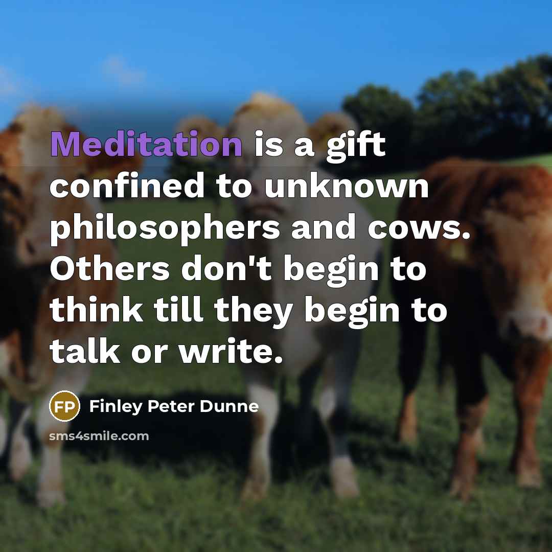 “Meditation is a gift confined to unknown philosophers and cows.…” quote by Finley Peter Dunne