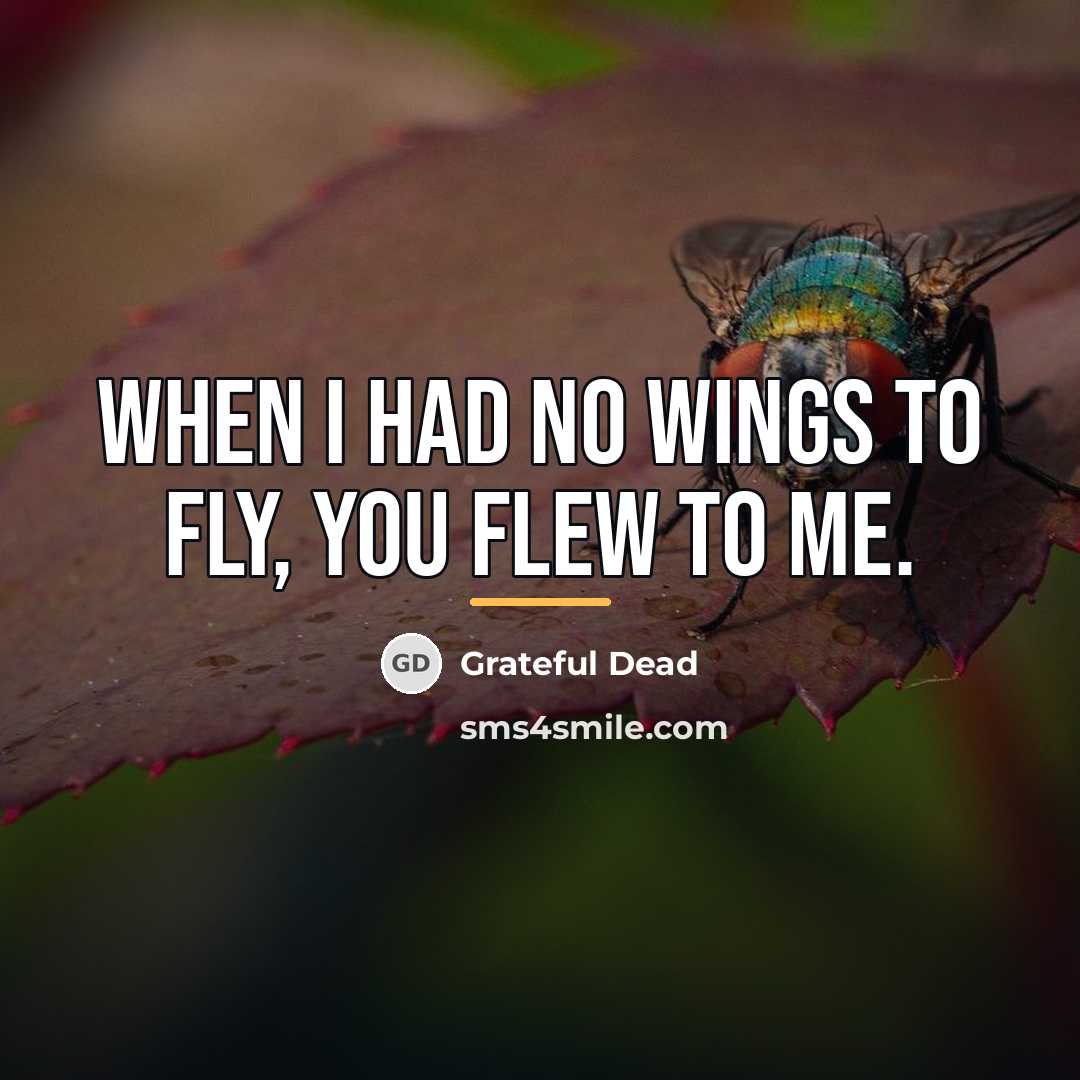 “When I had no wings to fly, you flew to…” quote by Grateful Dead
