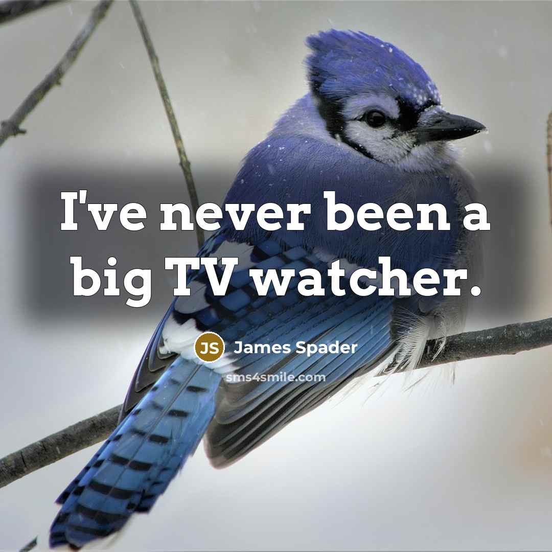 “I've never been a big TV watcher.…” quote by James Spader