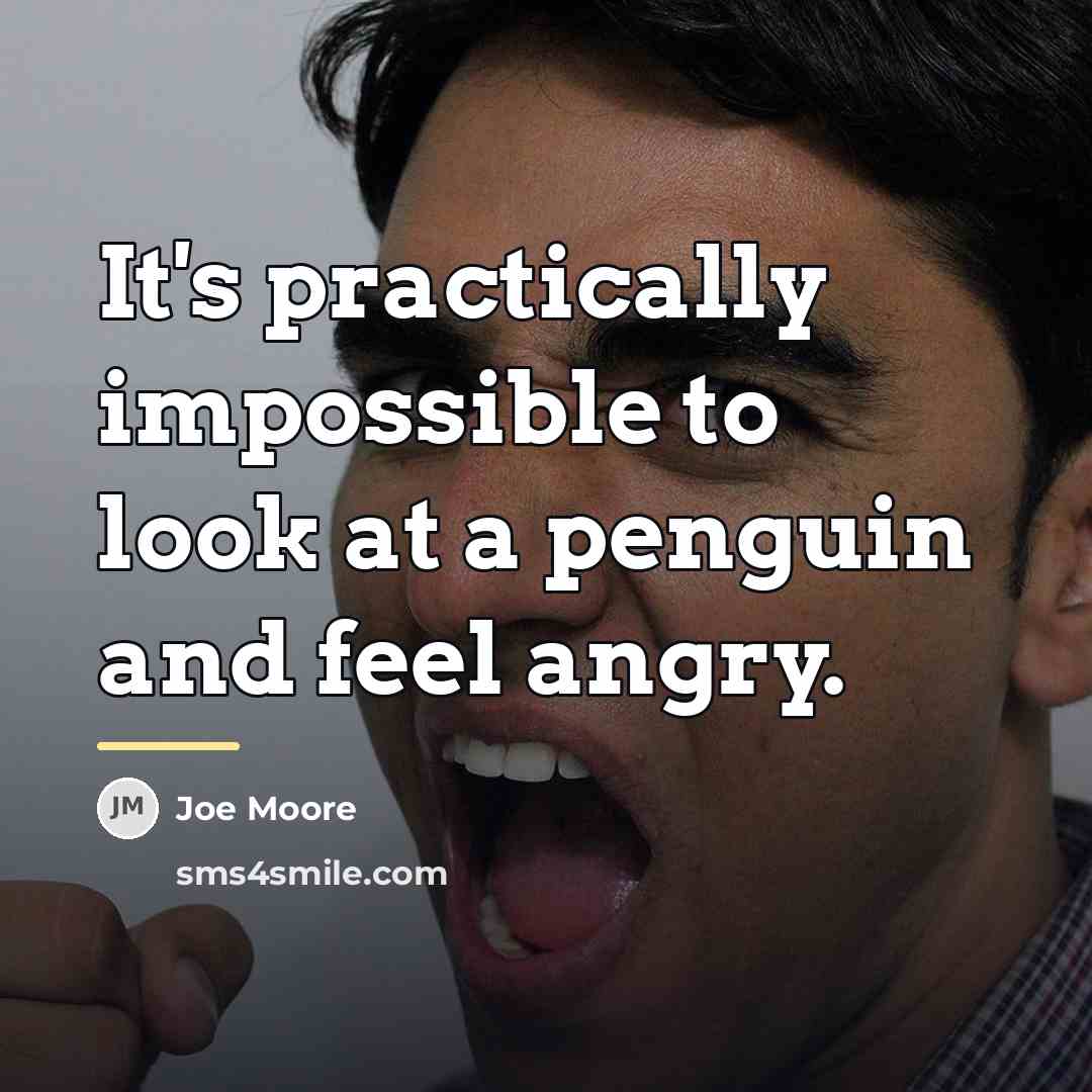 “It's practically impossible to look at a penguin and feel…” quote by Joe Moore