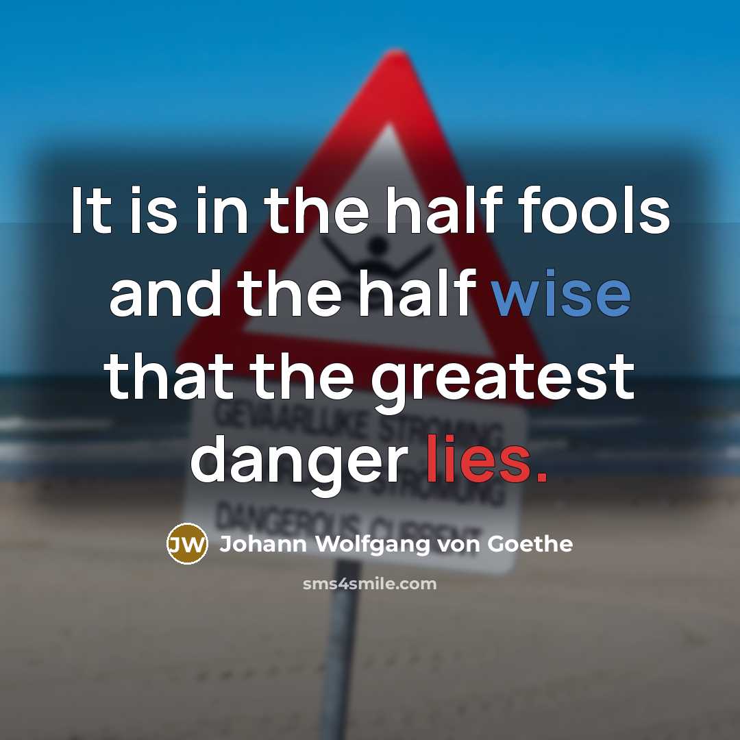 “It is in the half fools and the half wise…” quote by Johann Wolfgang von Goethe