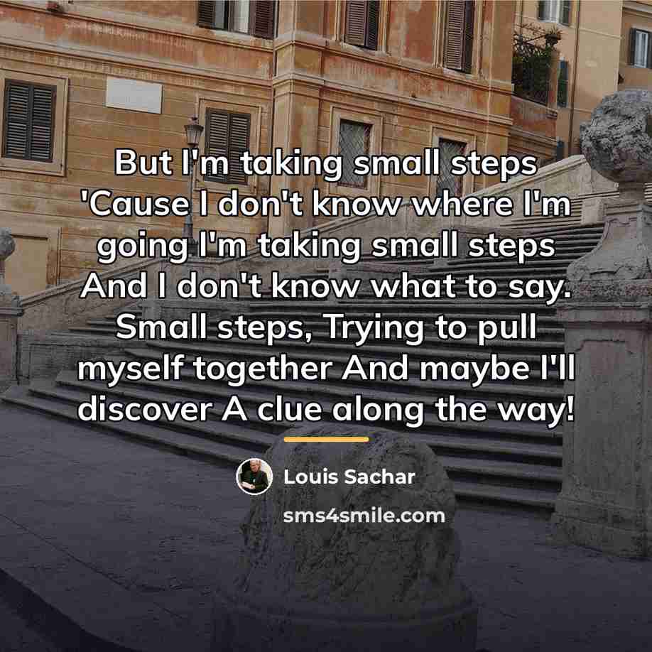 “But I'm taking small steps 'Cause I don't know where…” quote by Louis Sachar