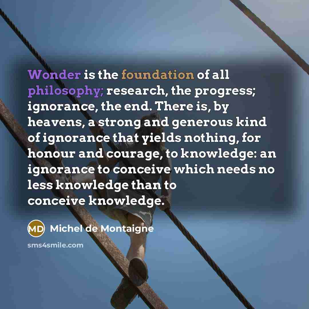 “Wonder is the foundation of all philosophy; research, the progress;…” quote by Michel de Montaigne