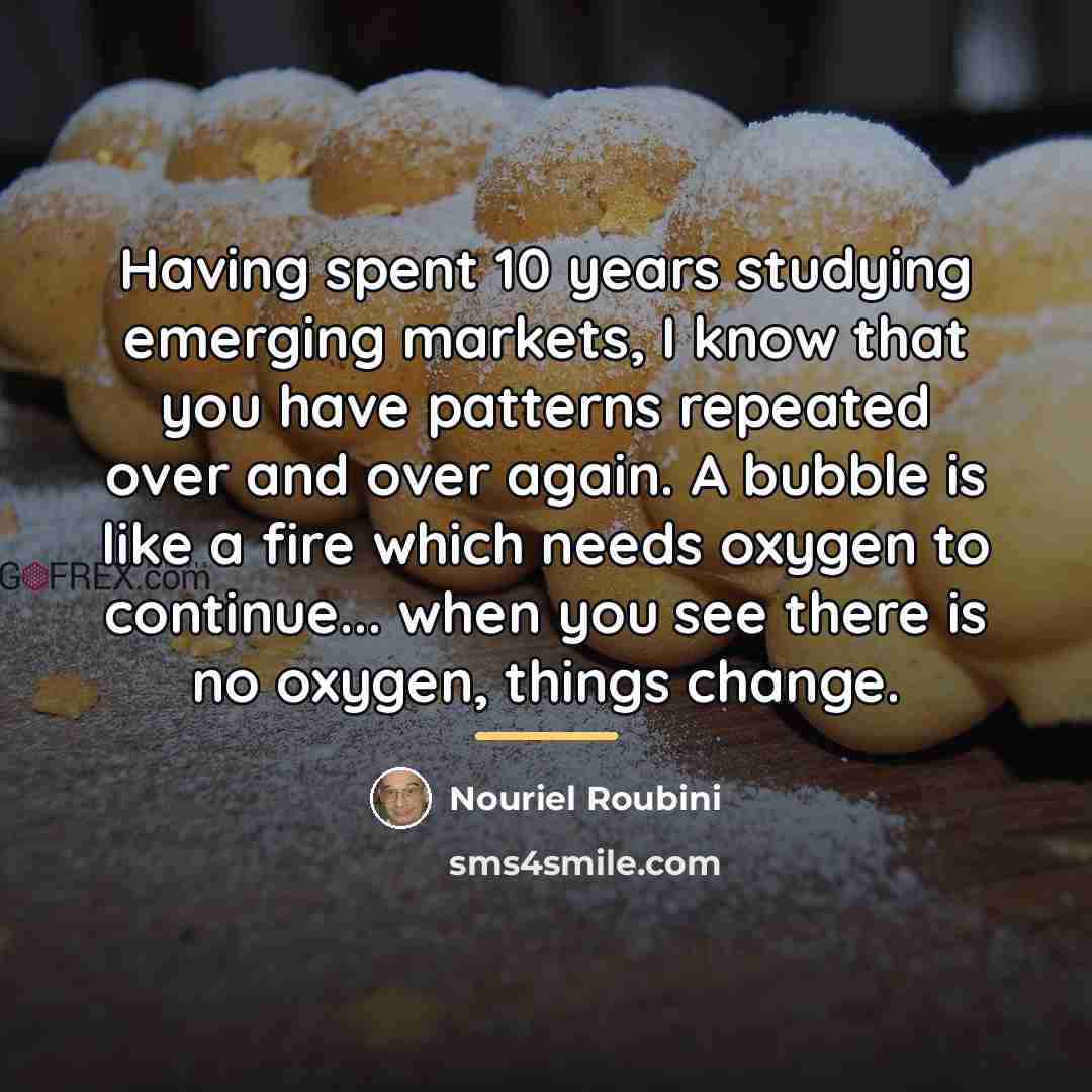 “Having spent 10 years studying emerging markets, I know that…” quote by Nouriel Roubini