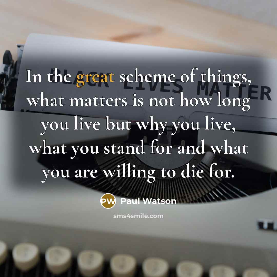 “In the great scheme of things, what matters is not…” quote by Paul Watson