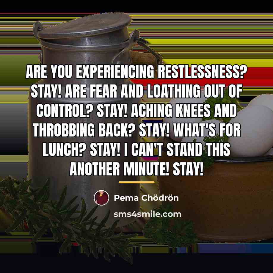 “Are you experiencing restlessness? Stay! Are fear and loathing out…” quote by Pema Chodron