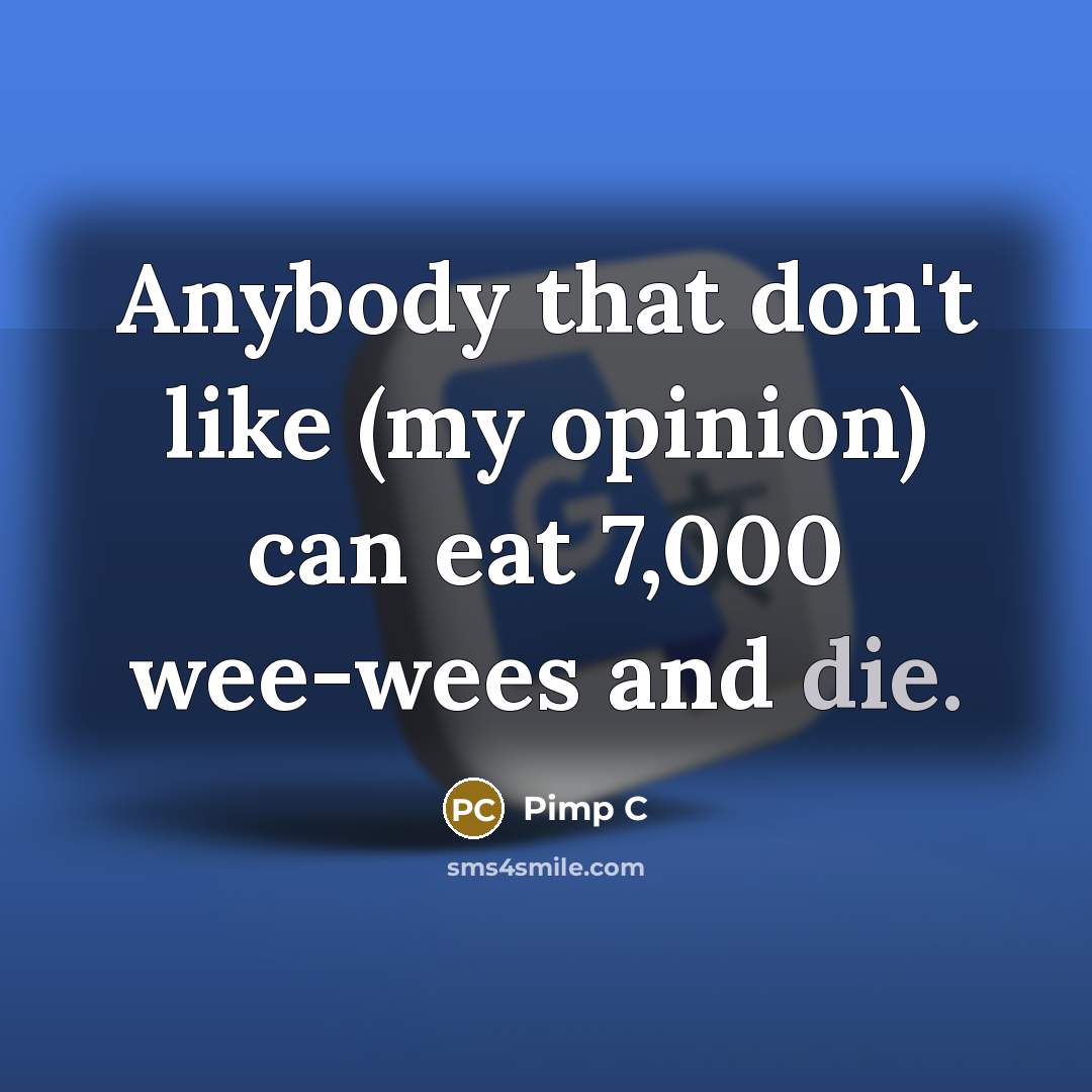 “Anybody that don't like (my opinion) can eat 7,000 wee-wees…” quote by Pimp C