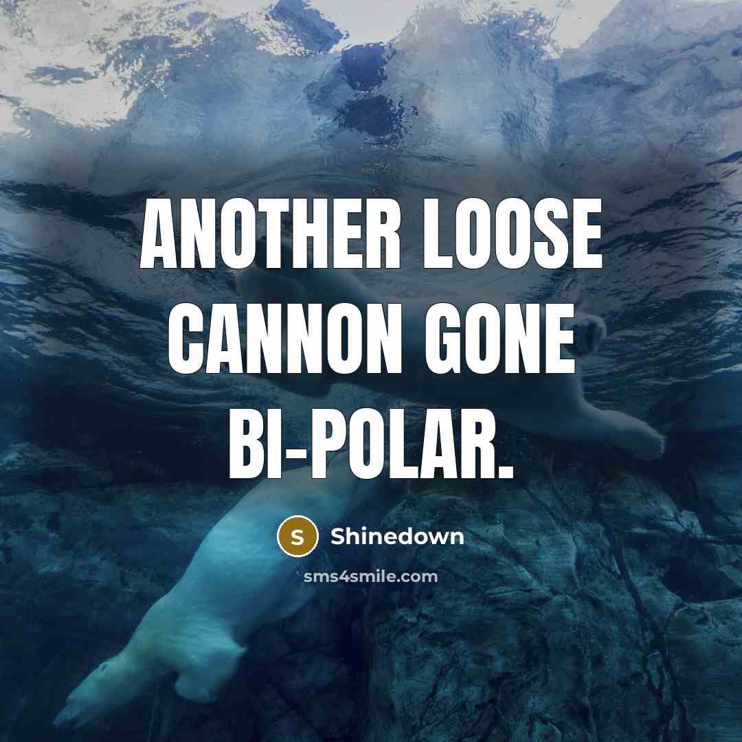 “Another loose cannon gone bi-polar.” quote by Shinedown