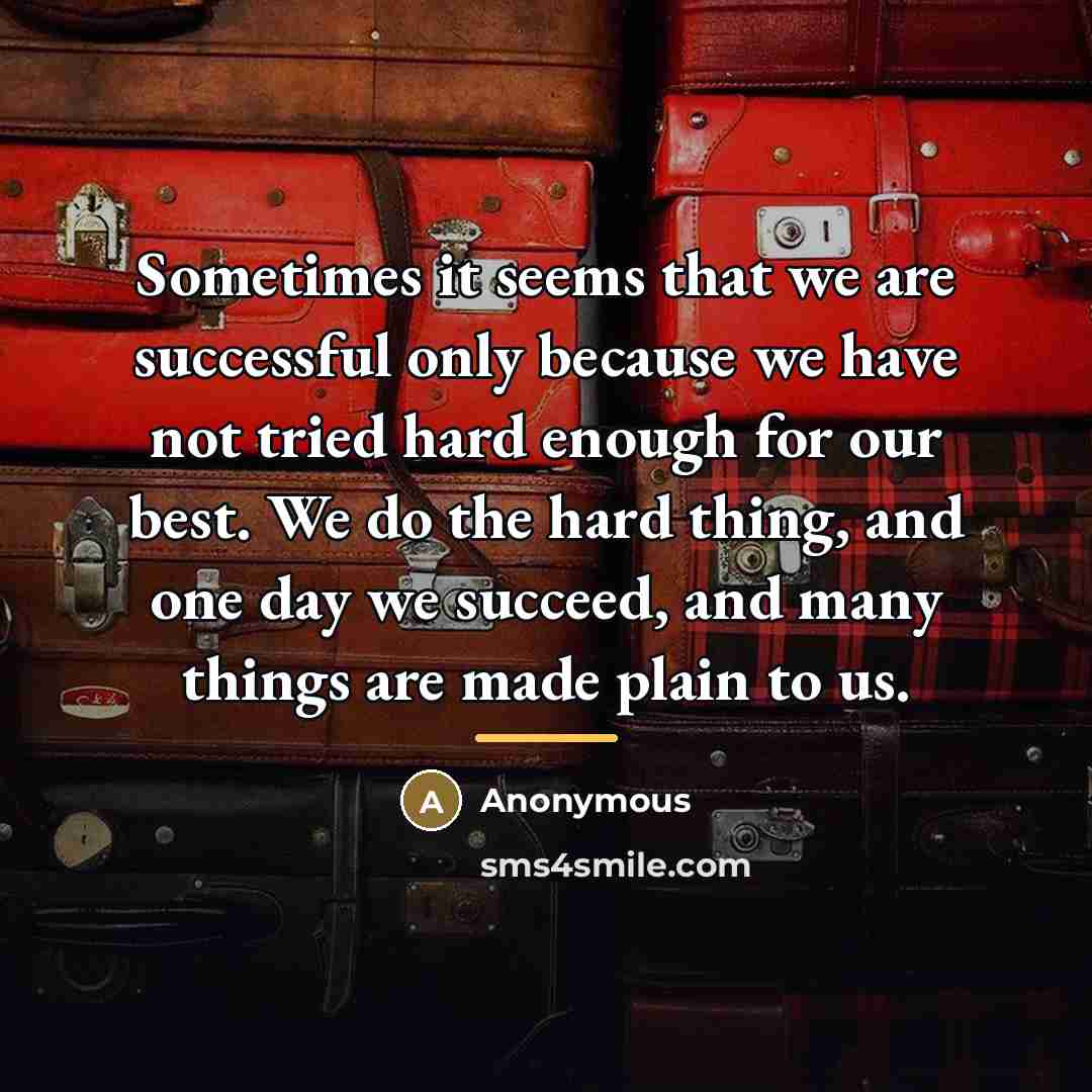 “Sometimes it seems that we are successful only because we…” quote by Anonymous