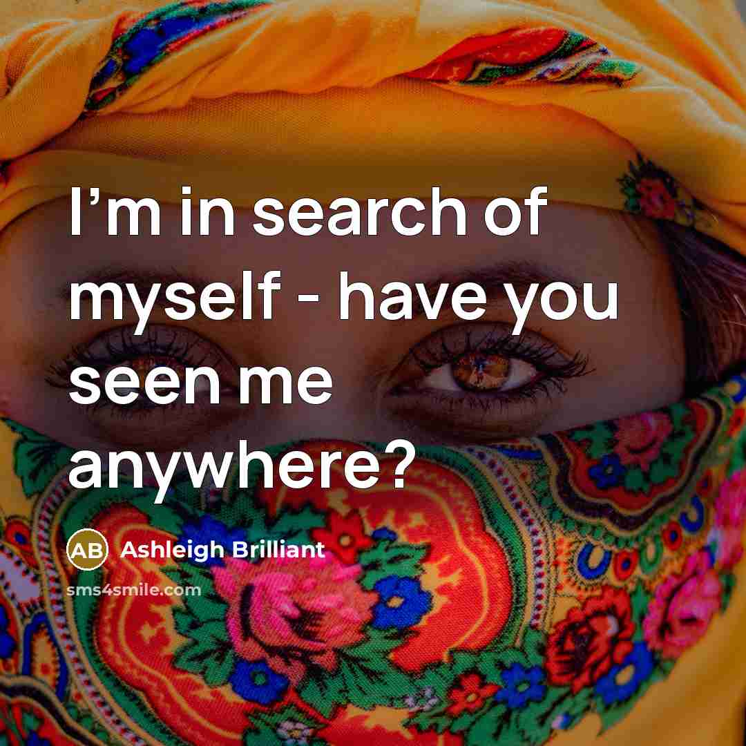 “I'm in search of myself - have you seen me…” quote by Ashleigh Brilliant