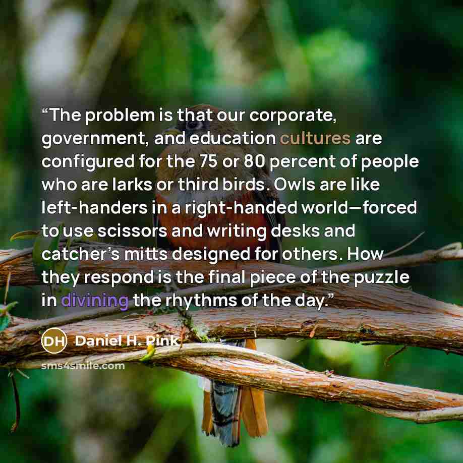 “The problem is that our corporate, government, and education cultures are configured for the 75 or 80 percent of people who are larks or third birds. Owls are like left-handers in a right-handed world—forced to use scissors and writing desks and catcher’s mitts designed for others. How they…” quote by Daniel H. Pink