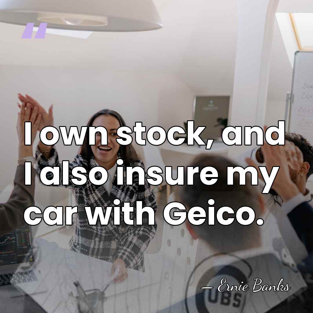 I own stock, and I also insure my car with Geico. - Ernie Banks