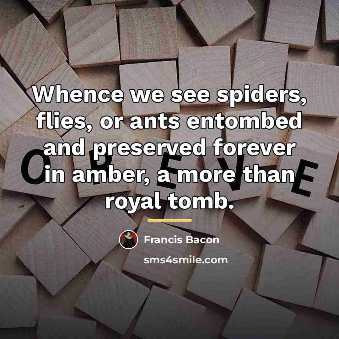 “Whence we see spiders, flies, or ants entombed and preserved…” quote by Francis Bacon