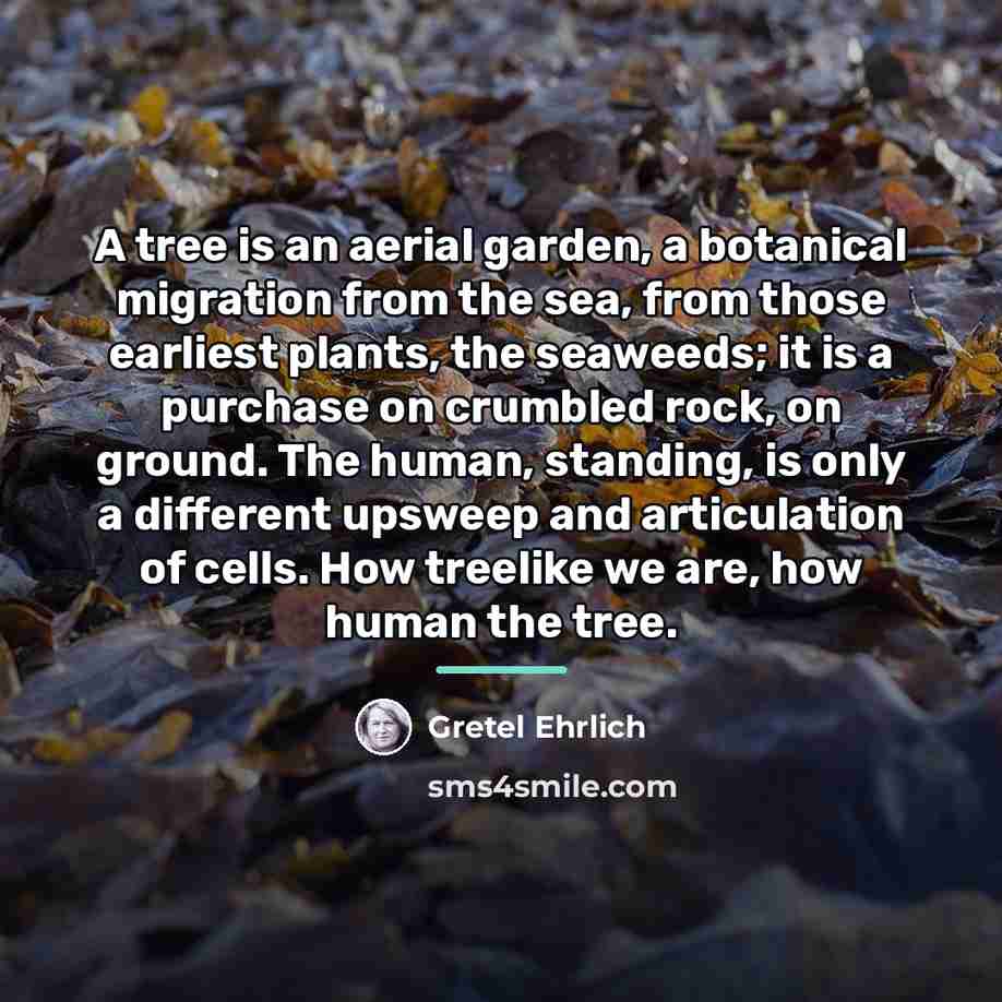 “A tree is an aerial garden, a botanical migration from…” quote by Gretel Ehrlich