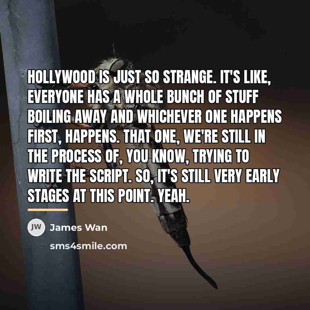 “Hollywood is just so strange. It's like, everyone has a…” quote by James Wan