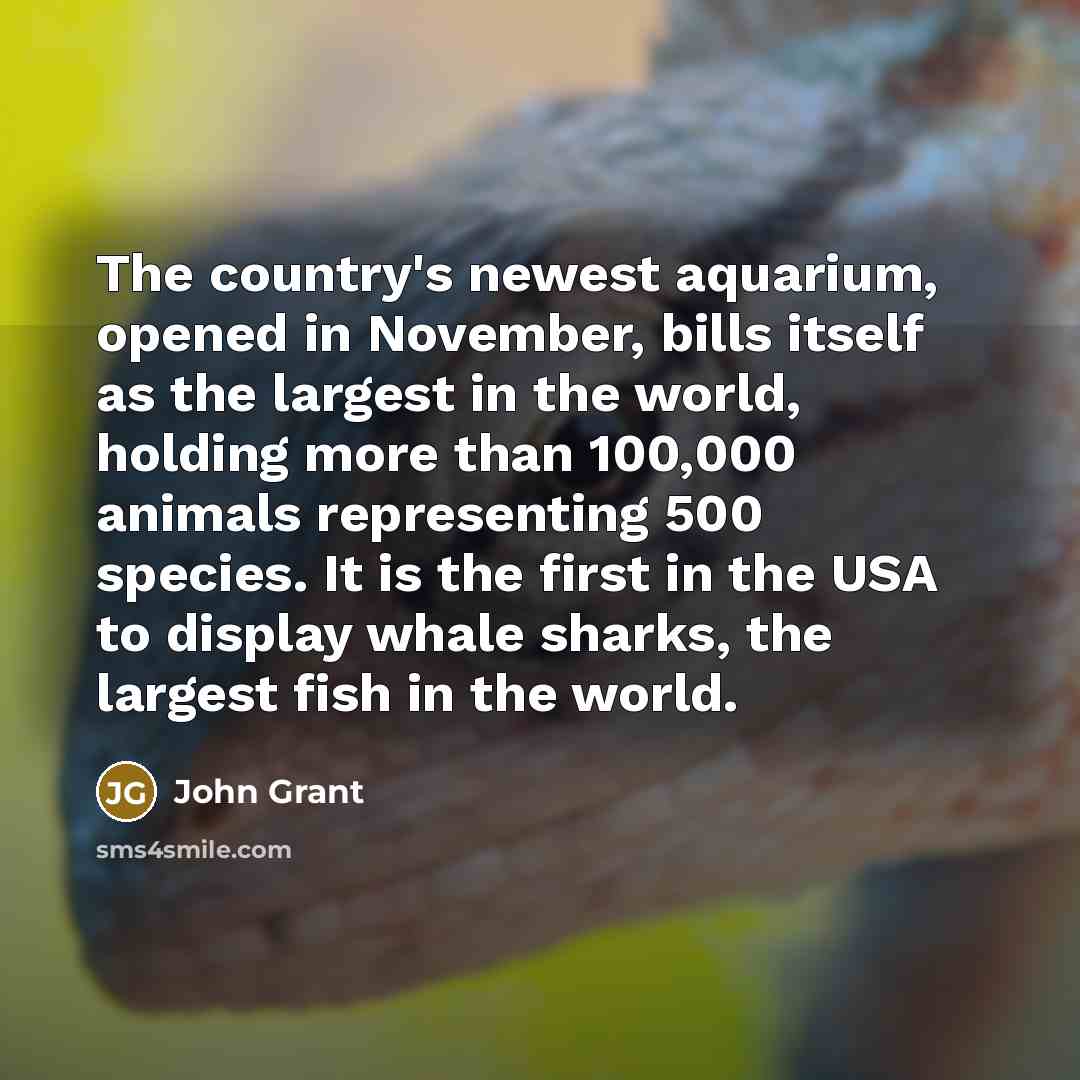 “The country's newest aquarium, opened in November, bills itself as…” quote by John Grant