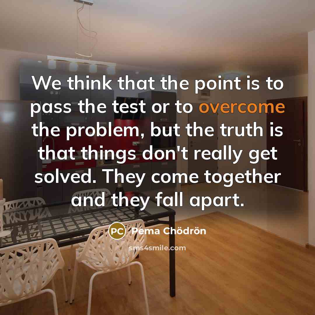 “We think that the point is to pass the test…” quote by Pema Chodron