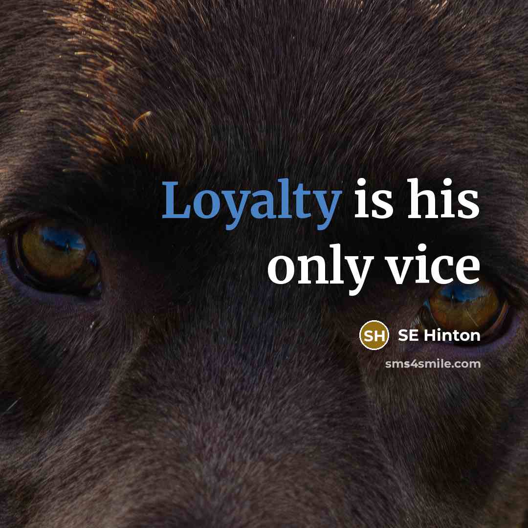 “Loyalty is his only vice…” quote by SE Hinton