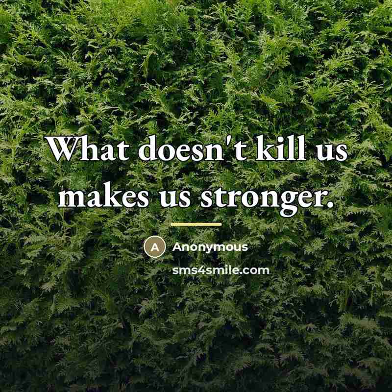 “What doesn't kill us makes us stronger.…” quote by Anonymous