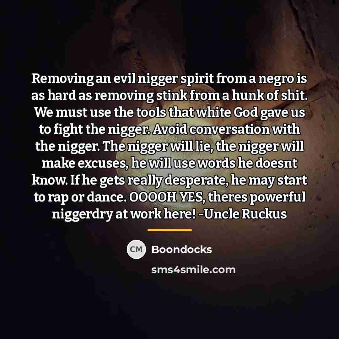 “Removing an evil nigger spirit from a negro is as…” quote by Boondocks