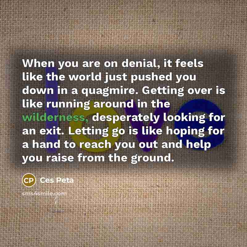 “When you are on denial, it feels like the world…” quote by Ces Peta