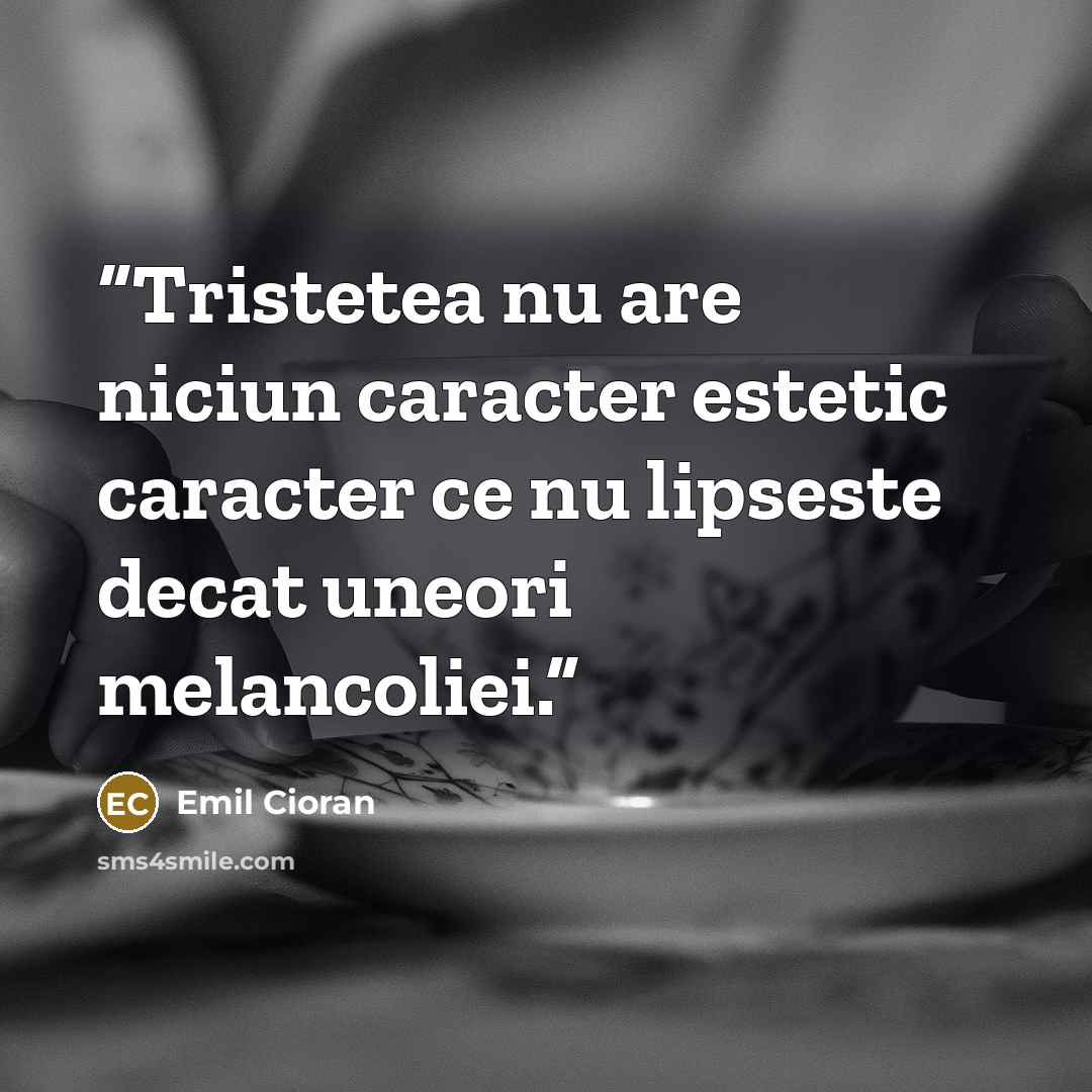 “Tristetea nu are niciun caracter estetic caracter ce nu lipseste decat uneori melancoliei.” quote by Emil Cioran