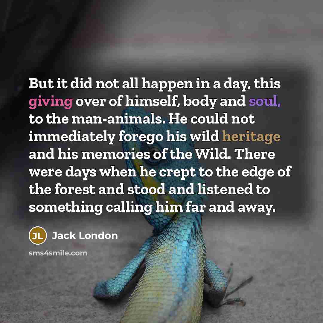 “But it did not all happen in a day, this…” quote by Jack London