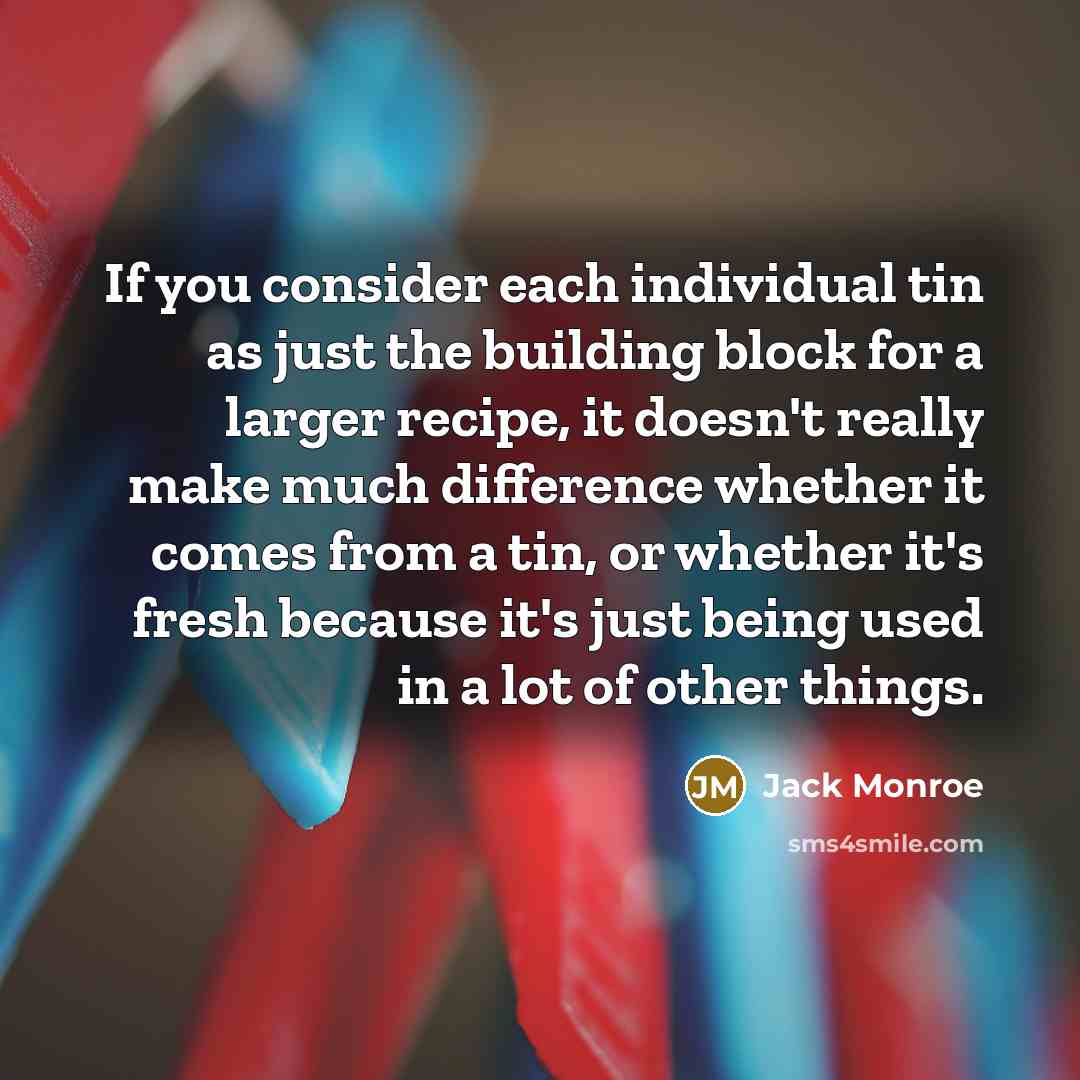 “If you consider each individual tin as just the building…” quote by Jack Monroe