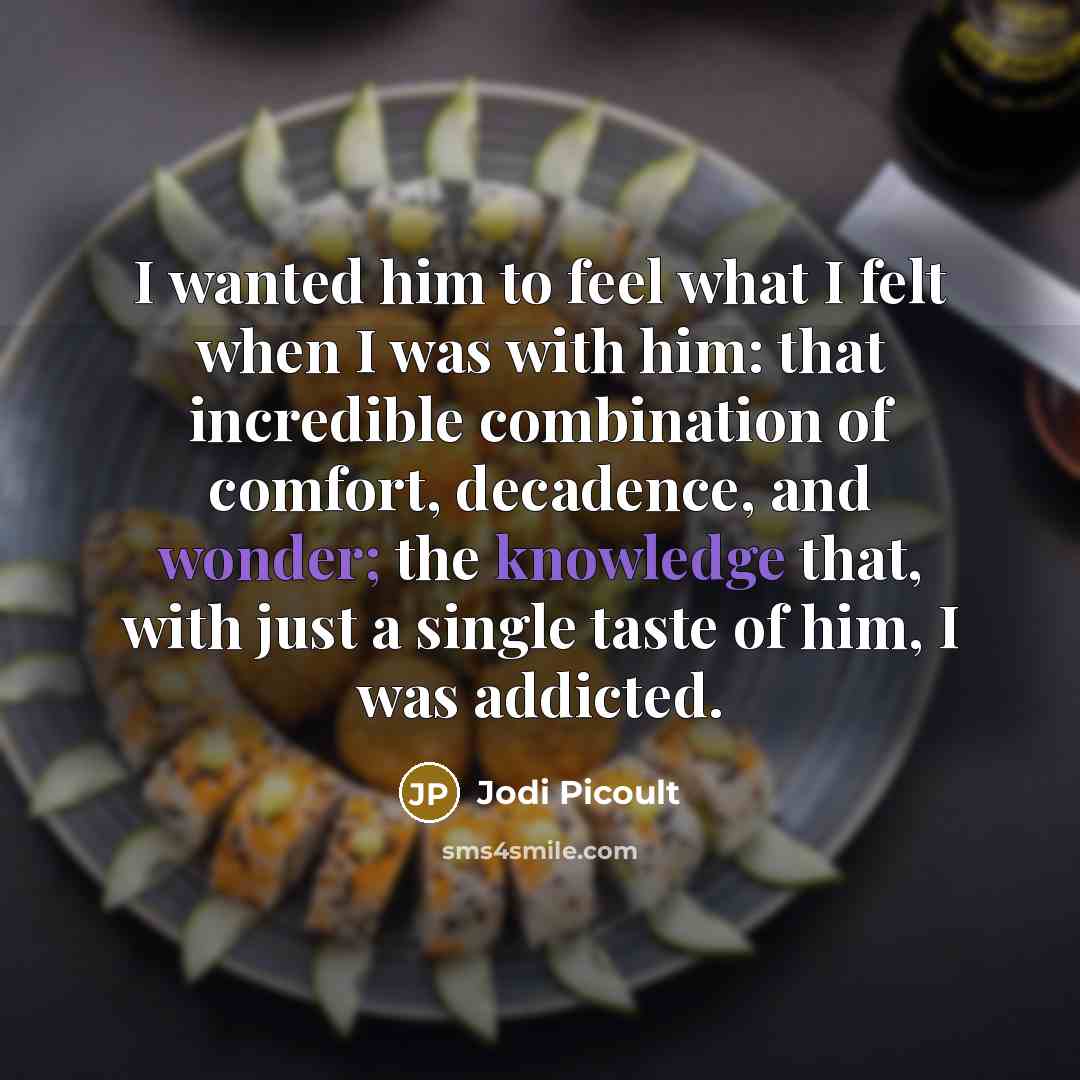 “I wanted him to feel what I felt when I…” quote by Jodi Picoult