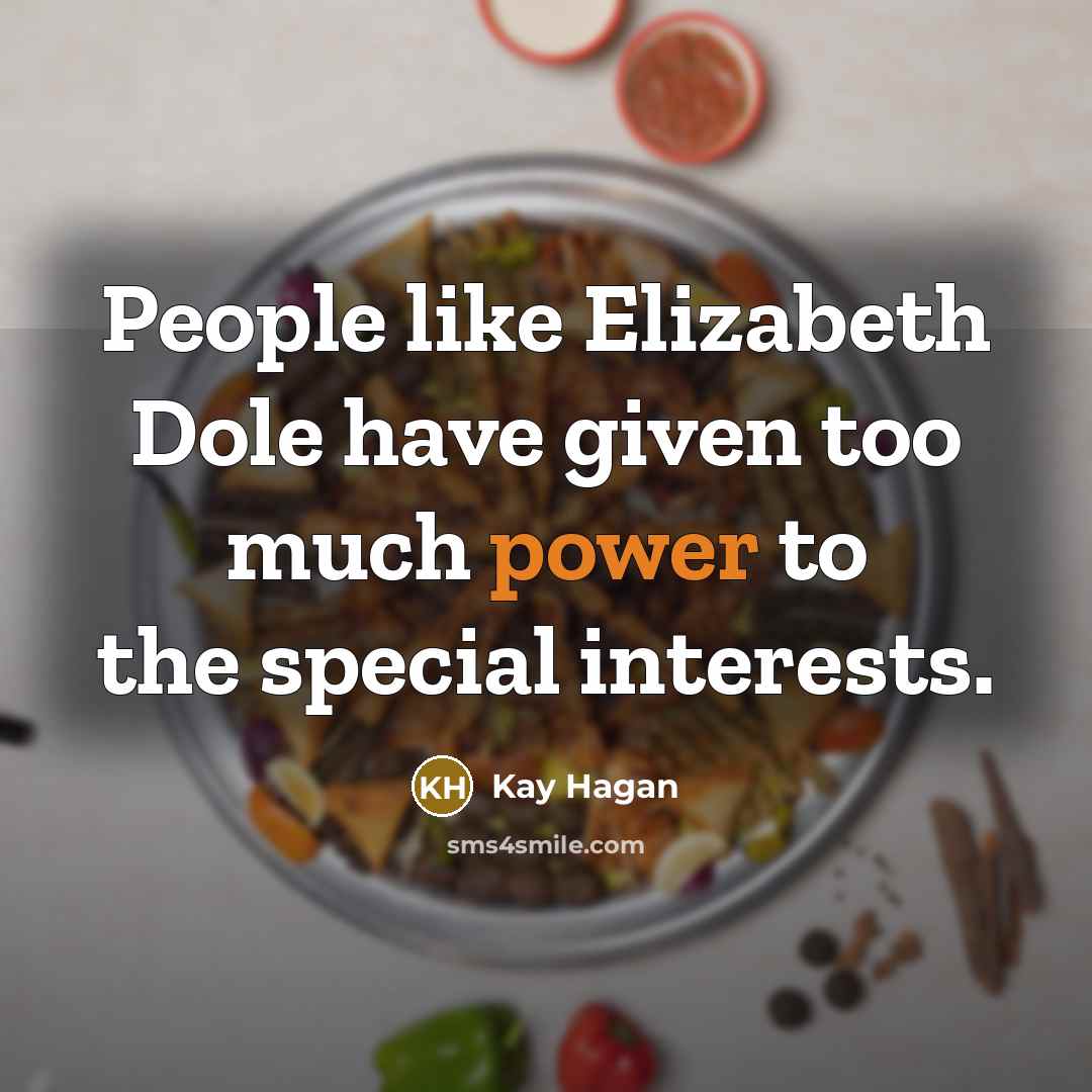 “People like Elizabeth Dole have given too much power to the special interests.” quote by Kay Hagan