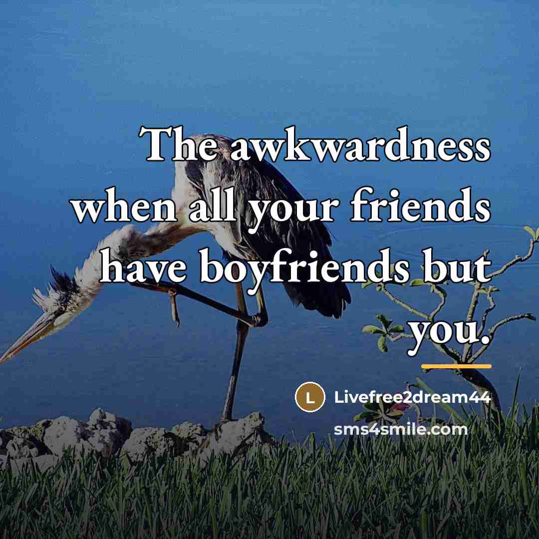 “The awkwardness when all your friends have boyfriends but you.…” quote by Livefree2dream44