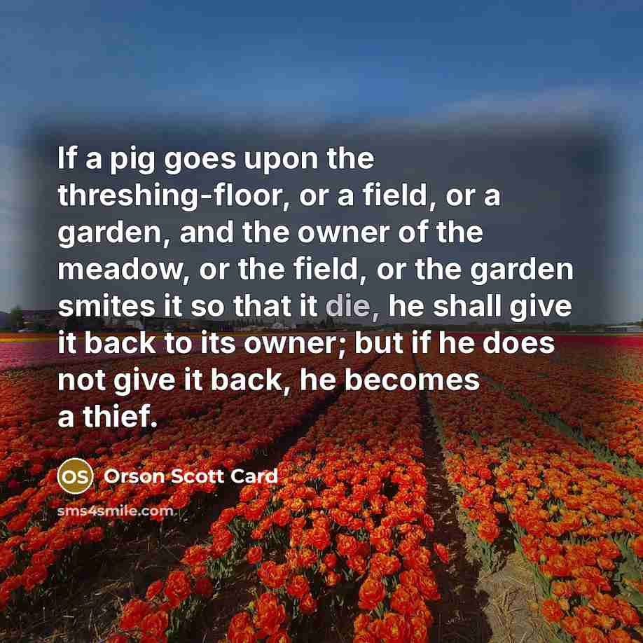 “If a pig goes upon the threshing-floor, or a field,…” quote by Orson Scott Card