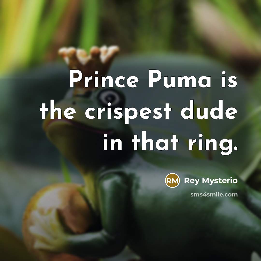 “Prince Puma is the crispest dude in that ring.…” quote by Rey Mysterio