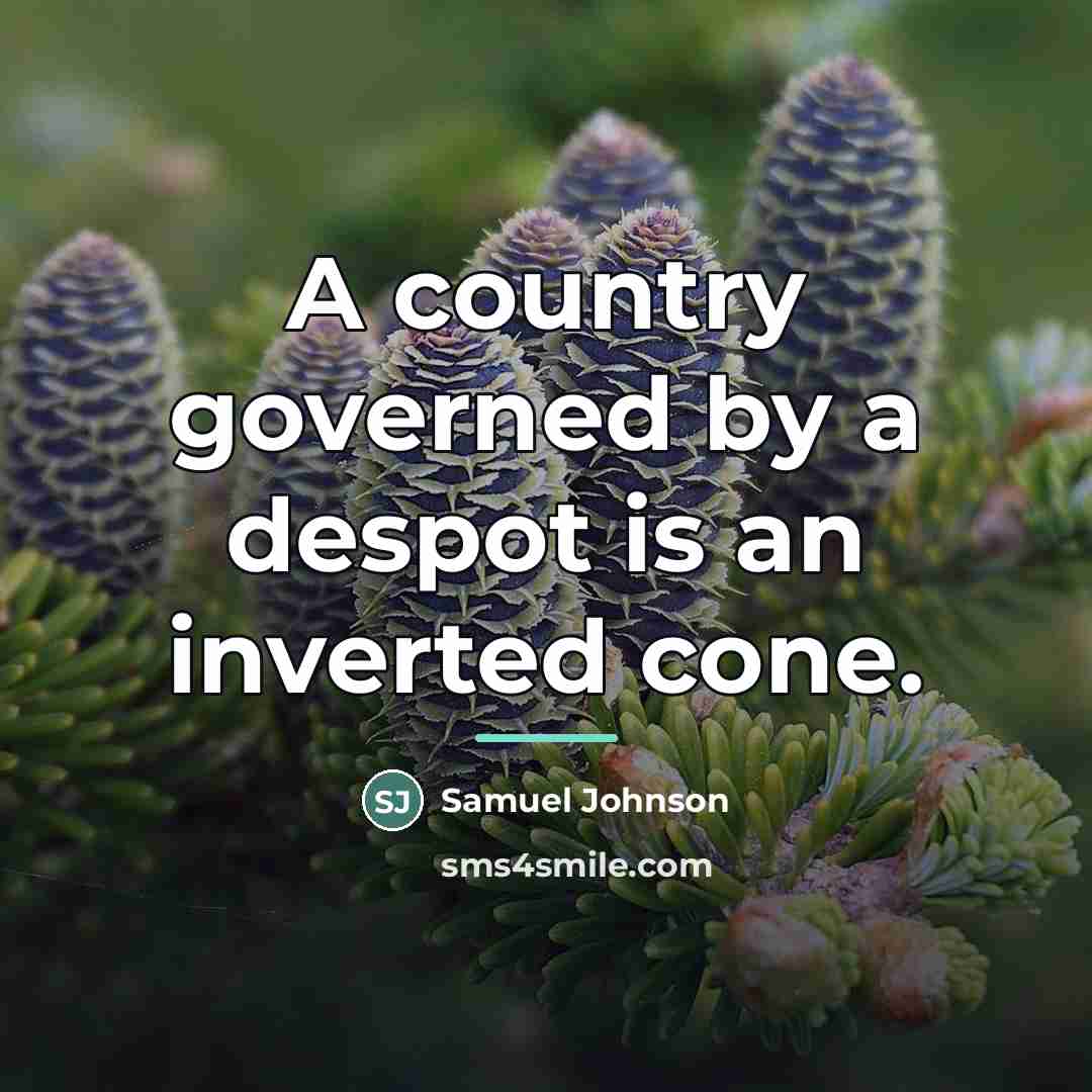 “A country governed by a despot is an inverted cone.…” quote by Samuel Johnson