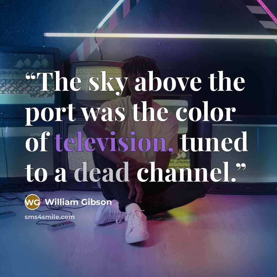 “The sky above the port was the color of television, tuned to a dead channel.” quote by William Gibson