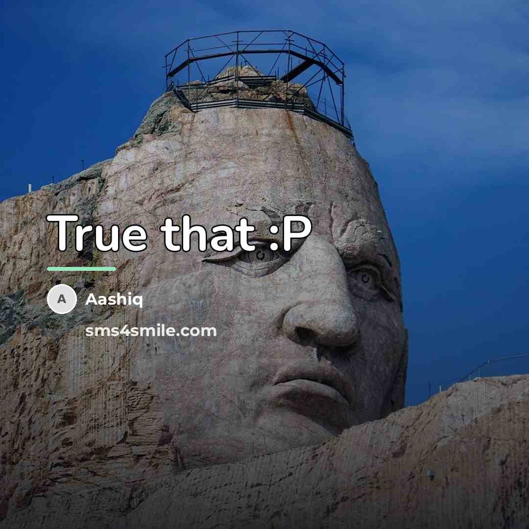 “True that :P…” quote by Aashiq