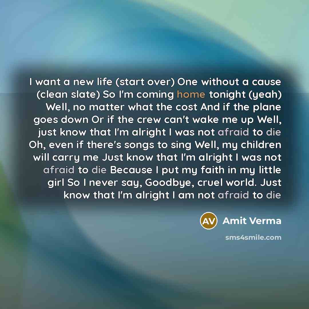 “I want a new life (start over) One without a cause (clean slate) So I'm coming home tonight (yeah) Well, no matter what the cost And if the plane goes down Or if the crew can't wake me up Well, just know that I'm alright I was not afraid to die Oh, even if there's songs to sing Well, my children…” quote by Amit Verma