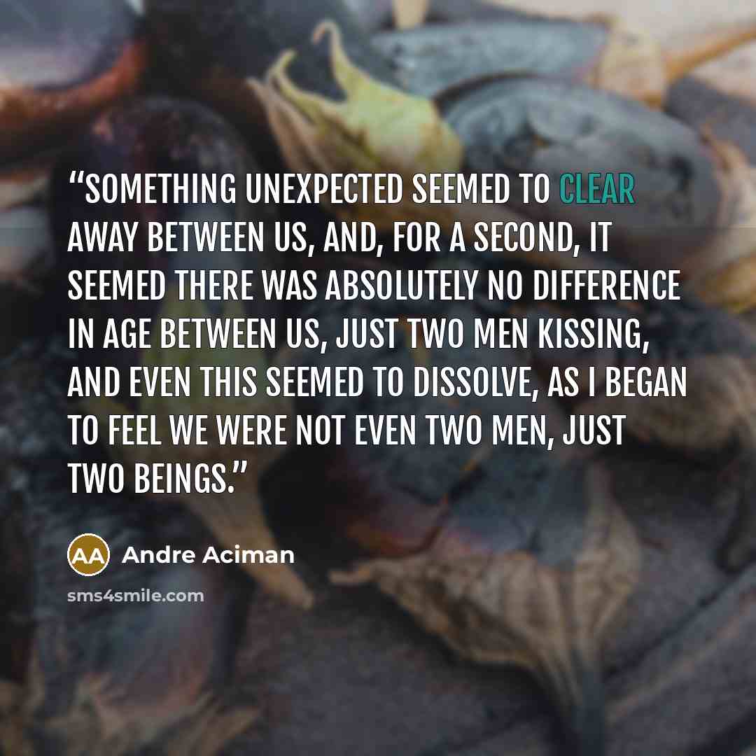 “Something unexpected seemed to clear away between us, and, for a second, it seemed there was absolutely no difference in age between us, just two men kissing, and even this seemed to dissolve, as I began to feel we were not even two men, just two beings.” quote by André Aciman