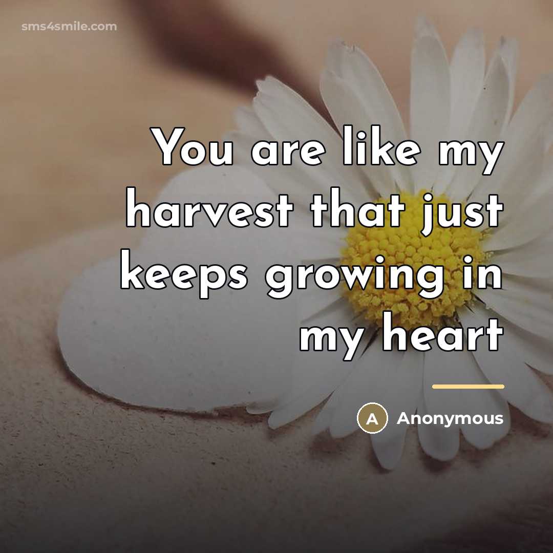 “You are like my harvest that just keeps growing in…” quote by Anonymous