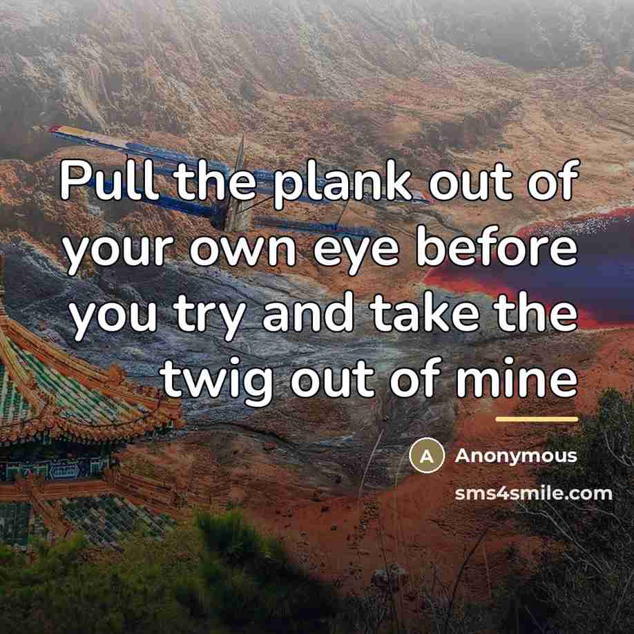 “Pull the plank out of your own eye before you…” quote by Anonymous