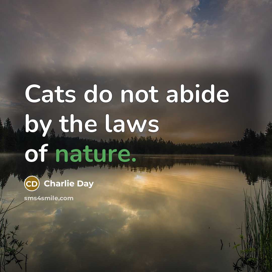 “Cats do not abide by the laws of nature.…” quote by Charlie Day