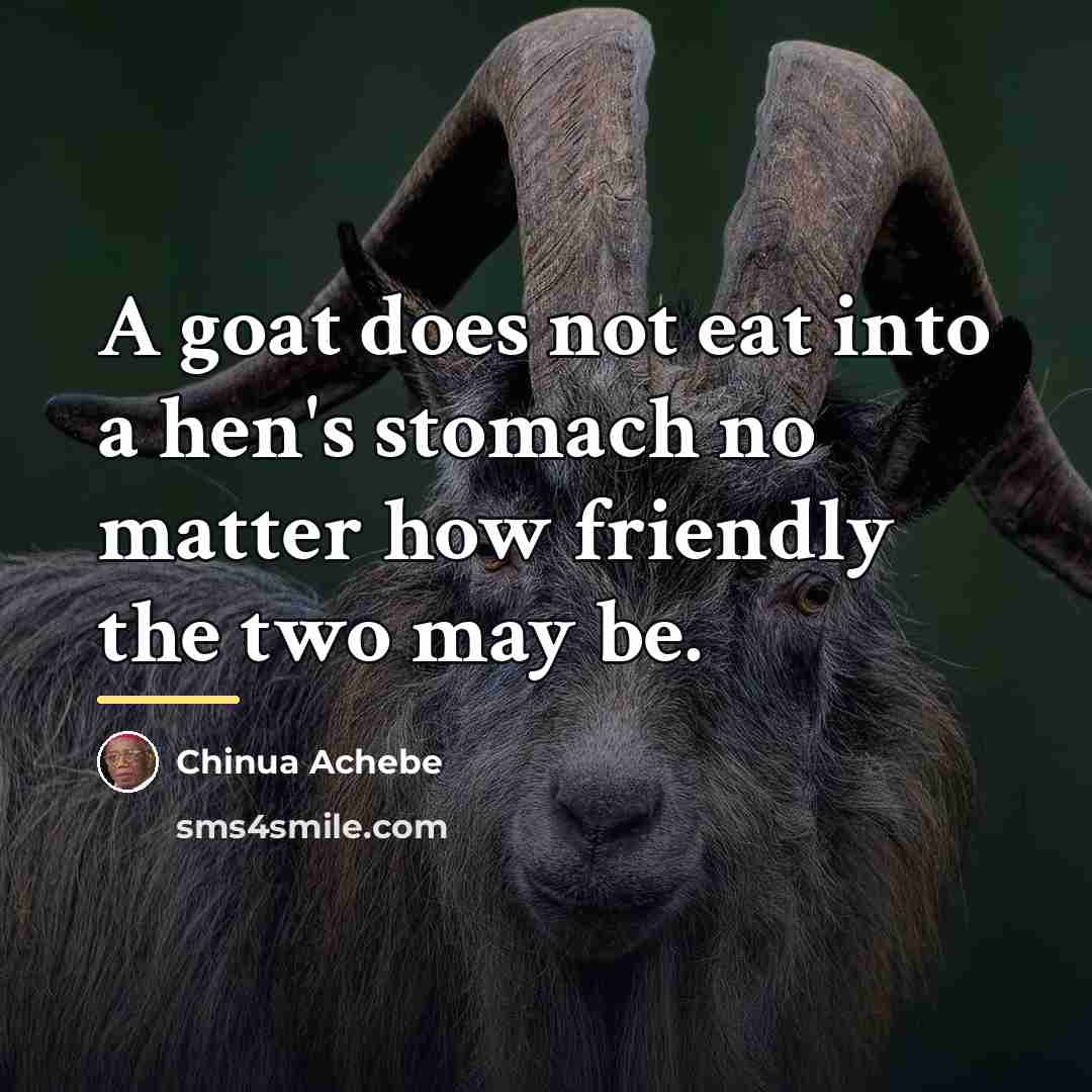 “A goat does not eat into a hen's stomach no…” quote by Chinua Achebe