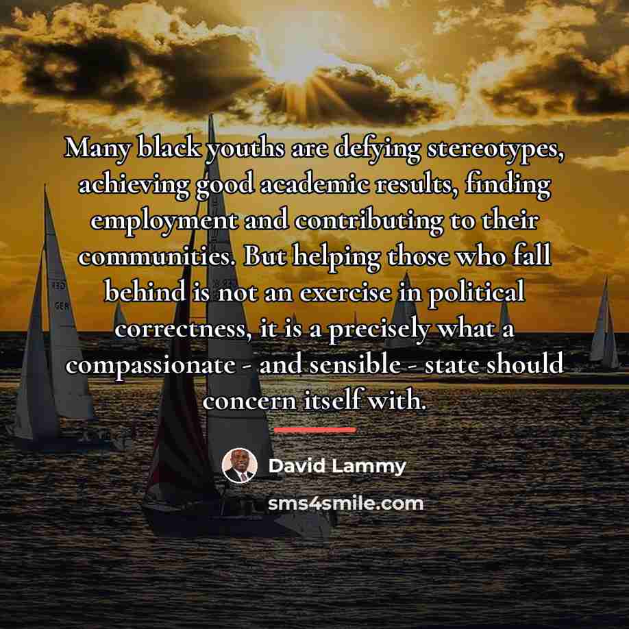 “Many black youths are defying stereotypes, achieving good academic results,…” quote by David Lammy